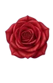 Red Rose